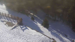 Přístup na běžeckou trať