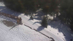 Přístup na běžeckou trať