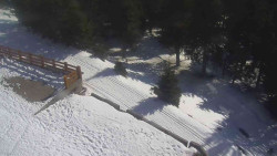 Přístup na běžeckou trať