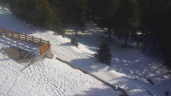 Přístup na běžeckou trať