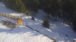 Přístup na běžeckou trať