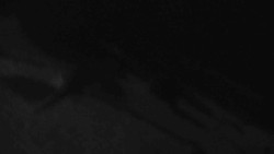 Přístup na běžeckou trať