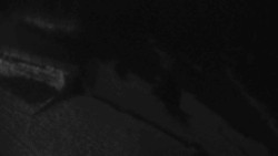 Přístup na běžeckou trať