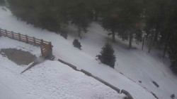 Přístup na běžeckou trať