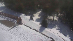 Přístup na běžeckou trať