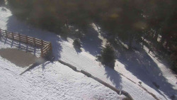 Přístup na běžeckou trať