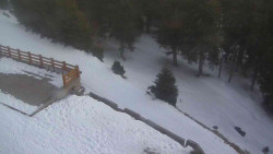 Přístup na běžeckou trať