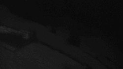 Přístup na běžeckou trať