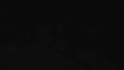 Přístup na běžeckou trať