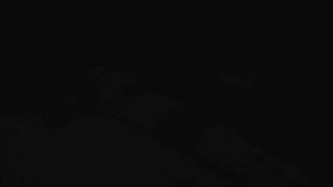 Sporthotel Kurzovní - Přístup na běžeckou trať - 7.3.2026 v 03:10 Sporthotel Kurzovní - Přístup na běžeckou trať - 7.3.2026 v 03:10