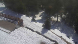 Přístup na běžeckou trať