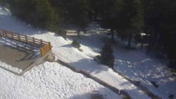 Přístup na běžeckou trať