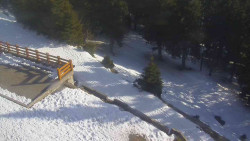 Přístup na běžeckou trať