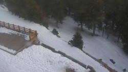 Přístup na běžeckou trať