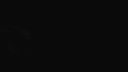 Přístup na běžeckou trať