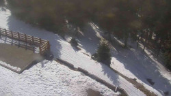 Přístup na běžeckou trať