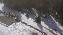 Přístup na běžeckou trať