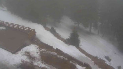 Přístup na běžeckou trať