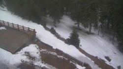 Přístup na běžeckou trať