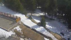 Přístup na běžeckou trať