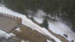 Přístup na běžeckou trať