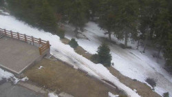 Přístup na běžeckou trať