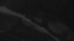 Přístup na běžeckou trať