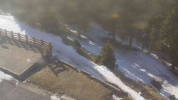 Přístup na běžeckou trať