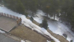 Přístup na běžeckou trať