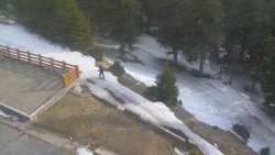 Přístup na běžeckou trať