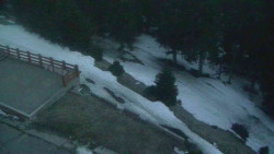 Přístup na běžeckou trať