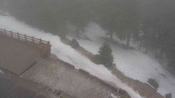 Přístup na běžeckou trať