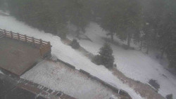 Přístup na běžeckou trať