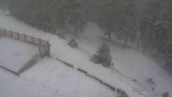 Přístup na běžeckou trať