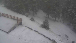 Přístup na běžeckou trať