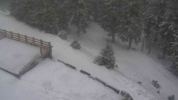 Přístup na běžeckou trať