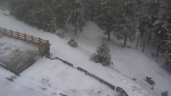 Přístup na běžeckou trať