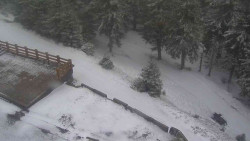 Přístup na běžeckou trať