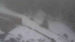 Přístup na běžeckou trať