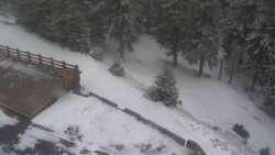 Přístup na běžeckou trať