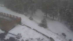 Přístup na běžeckou trať