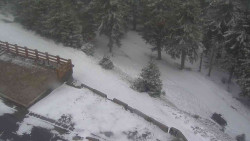 Přístup na běžeckou trať