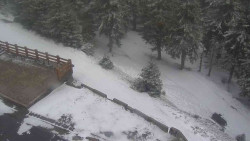 Přístup na běžeckou trať