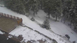 Přístup na běžeckou trať