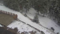 Přístup na běžeckou trať