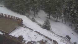 Přístup na běžeckou trať