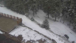 Přístup na běžeckou trať