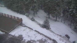 Přístup na běžeckou trať