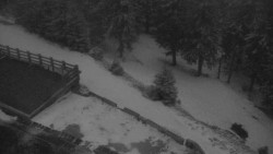 Přístup na běžeckou trať