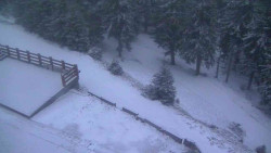 Přístup na běžeckou trať